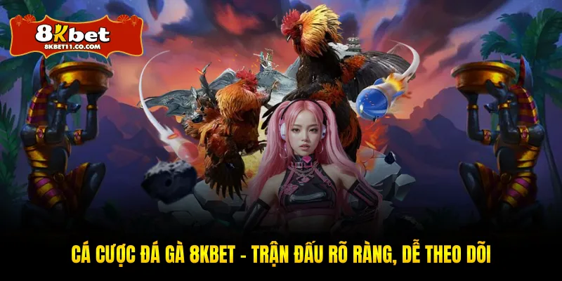 Cá Cược Đá Gà 8KBET – Trận Đấu Rõ Ràng, Dễ Theo Dõi