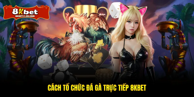Cách tổ chức đá gà trực tiếp 8KBET