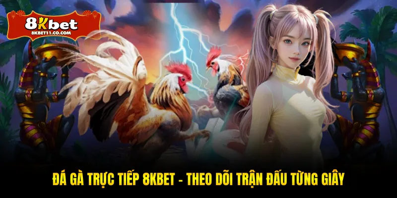 Đá Gà Trực Tiếp 8KBET – Xem Trận Đấu Từng Khoảnh Khắc