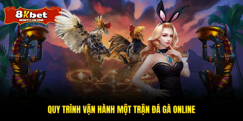 Quy trình vận hành một trận đá gà online