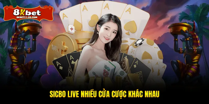 Sicbo live nhiều cửa cược khác nhau
