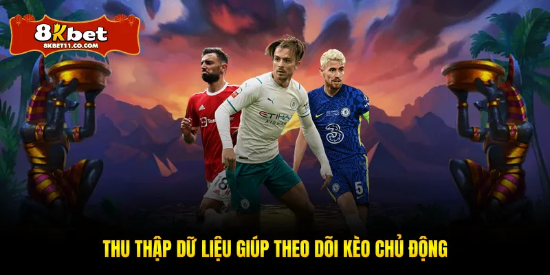 Thu thập dữ liệu giúp theo dõi chủ động hơn