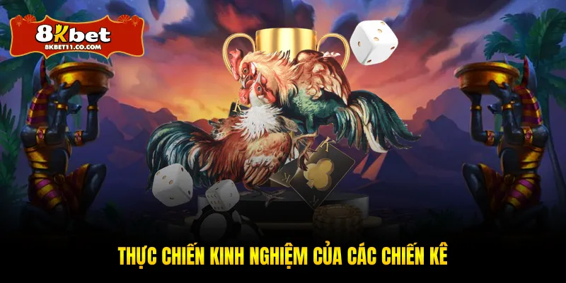 Thực chiến kinh nghiệm của các chiến kê